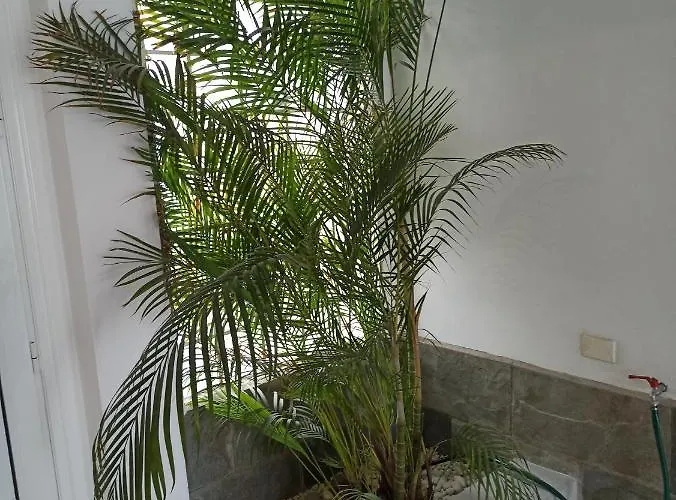 Appartement Bruna's House Costa Adeje (Tenerife)