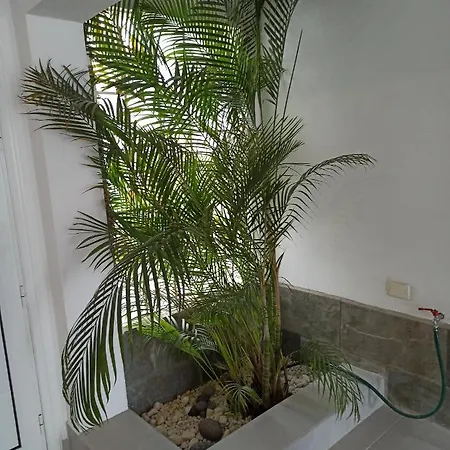 דירה Bruna's House אדחה